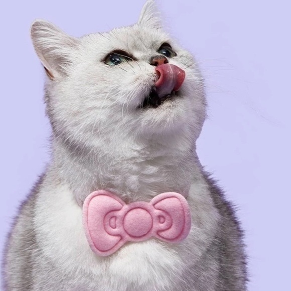 Hello Kitty Pet Bandana and Bow Set - Picture 4 of 7